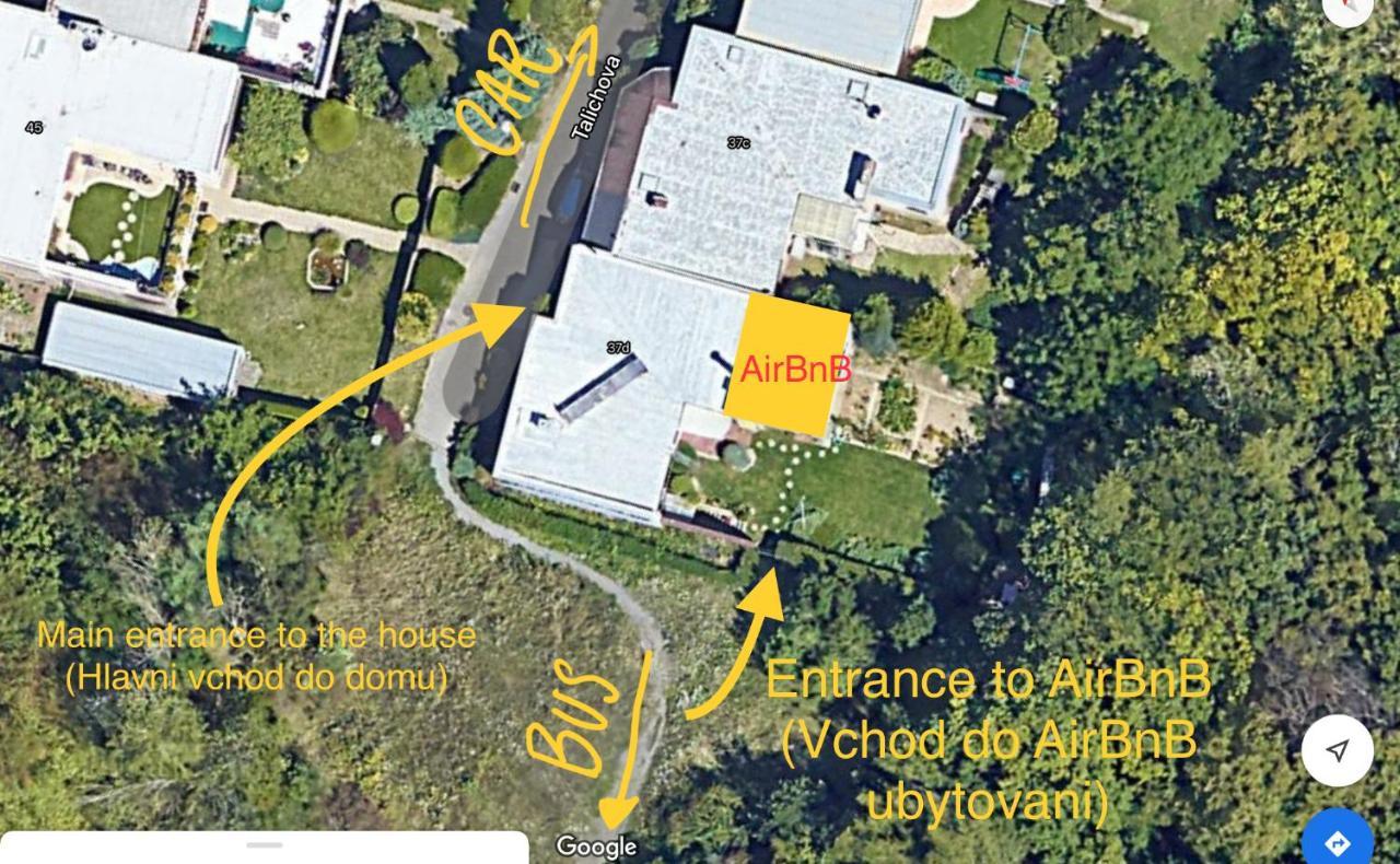 Krasny Apartman U Lesa, Trolejbus Do Centra A Bvv, Parkovani Zdarma Brno Exteriör bild