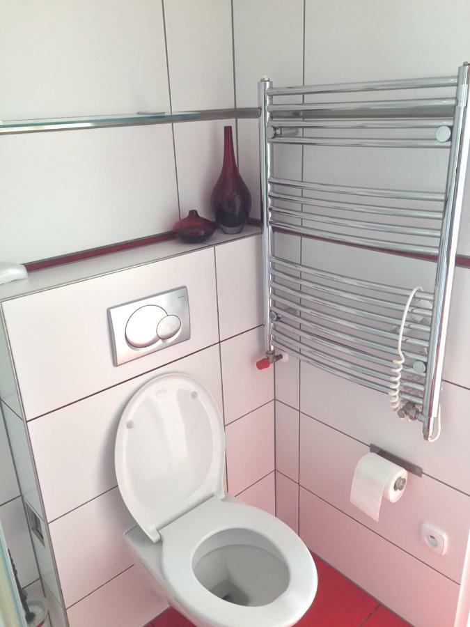 Krasny Apartman U Lesa, Trolejbus Do Centra A Bvv, Parkovani Zdarma Brno Exteriör bild